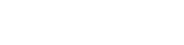 VFS Global